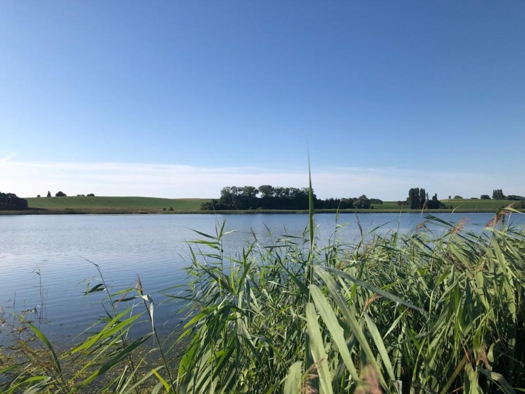 Helles Have Glamping Hotel Stege Eksteriør billede
